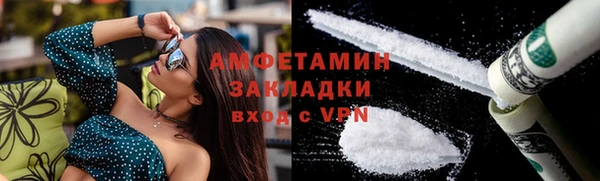 шишки Абаза