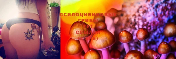 а пвп мука Абинск