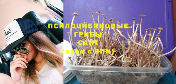 a pvp Абдулино