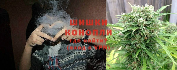 шишки Абаза