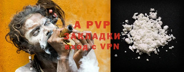 шишки Абаза